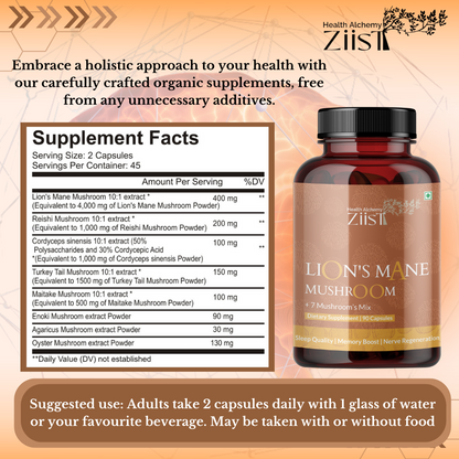 Ziist Memory Support and Brain Health Combo (Lion’s Mane + Focus Ginseng) – Sharpen Your Mind, Boost Focus, and Enhance Cognitive Performance